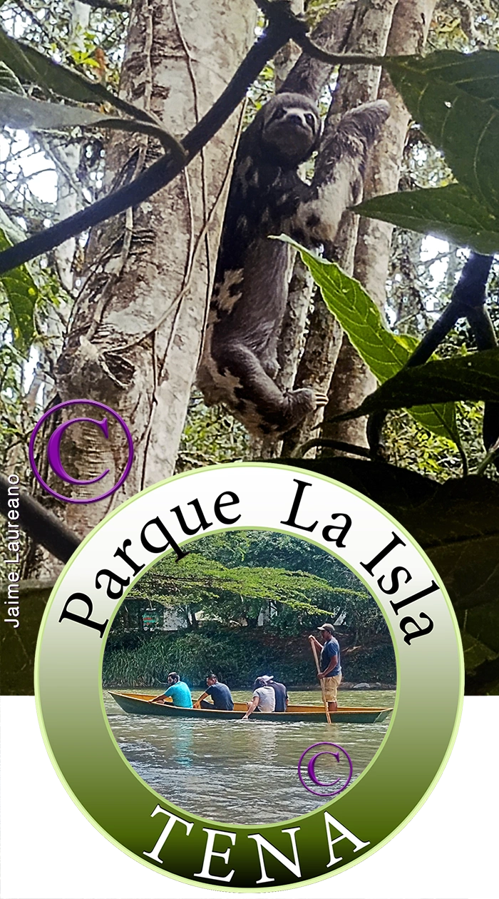 Amazon Jungle Adventures - TENA ECUADOR