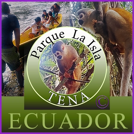 Aventuras Amazonicas en Tena ECUADOR ... Parque Amazónica, La Isla.